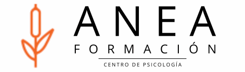 Anea Formación